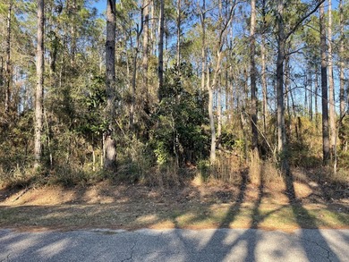 Whether you're planning to build your forever home near the Gulf - photo 6