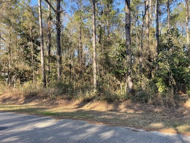 Whether you're planning to build your forever home near the Gulf - photo 7