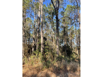 Whether you're planning to build your forever home near the Gulf - photo 8