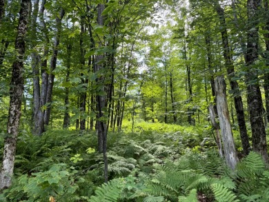 Lake Lot For Sale in Osceola, New York