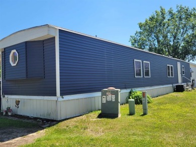 Lake Home For Sale in Beaverton, Michigan