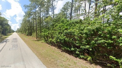 Lehigh Acres Area Lot For Sale in Lehigh Acres Florida