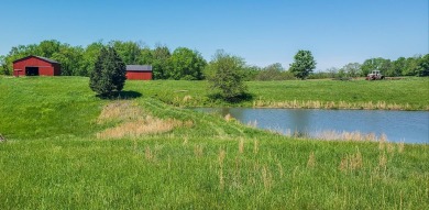 Ohio River Acreage For Sale in Ripley Ohio