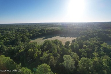 White Oak 266 is a 266+/- acre tract in Hinds County right on - photo 1