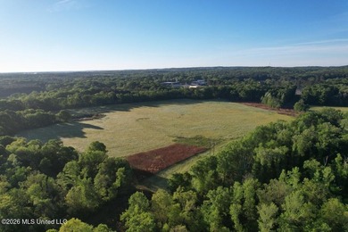 White Oak 266 is a 266+/- acre tract in Hinds County right on - photo 2