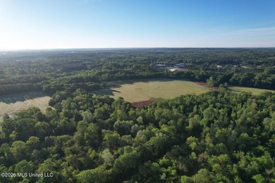White Oak 266 is a 266+/- acre tract in Hinds County right on - photo 4