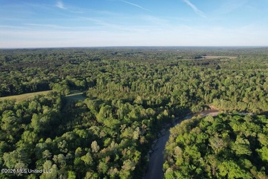 White Oak 266 is a 266+/- acre tract in Hinds County right on - photo 5