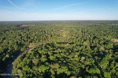 White Oak 266 is a 266+/- acre tract in Hinds County right on - photo 6