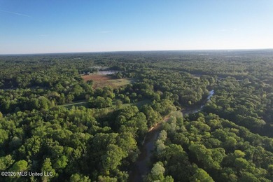 White Oak 266 is a 266+/- acre tract in Hinds County right on - photo 8