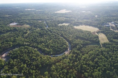 White Oak 266 is a 266+/- acre tract in Hinds County right on - photo 9