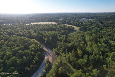 White Oak 266 is a 266+/- acre tract in Hinds County right on - photo 10