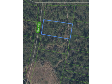 Lake Lot For Sale in Lake Placid, Florida