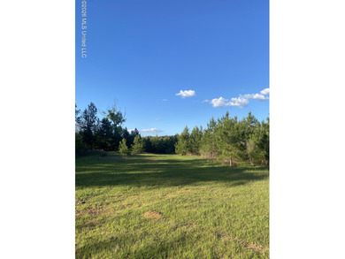 Hunting and Recreational retreat - 398+/- Acres in Amite County - photo 1