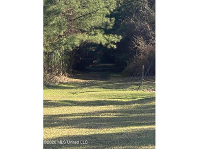 Hunting and Recreational retreat - 398+/- Acres in Amite County - photo 2