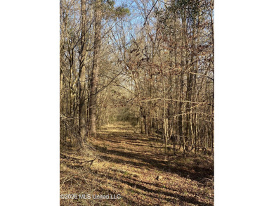 Hunting and Recreational retreat - 398+/- Acres in Amite County - photo 3