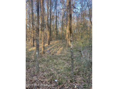Hunting and Recreational retreat - 398+/- Acres in Amite County - photo 6