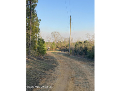 Hunting and Recreational retreat - 398+/- Acres in Amite County - photo 8