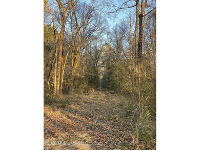 Hunting and Recreational retreat - 398+/- Acres in Amite County - photo 9