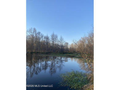 Hunting and Recreational retreat - 398+/- Acres in Amite County - photo 10