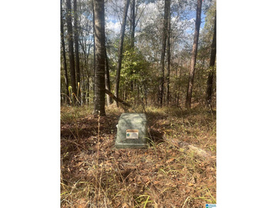 7.5 acres on the Mulberry Fork of Black Warrior River! Fisherman - photo 11