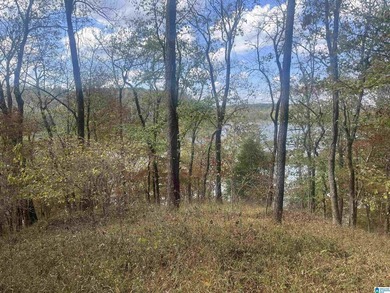 7.5 acres on the Mulberry Fork of Black Warrior River! Fisherman - photo 12