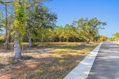 Discover an exceptional opportunity to build your custom coastal - photo 13
