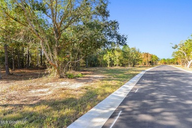 Discover an exceptional opportunity to build your custom coastal - photo 14