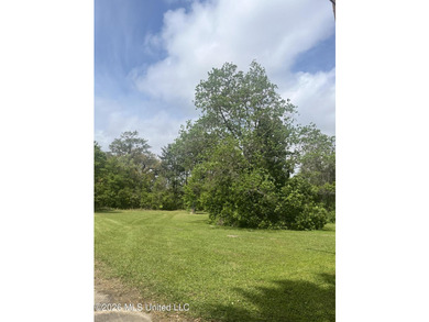 Build your dream home on this spacious 0.5-acre residential lot - photo 5