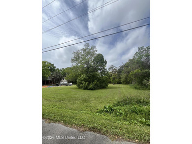 Build your dream home on this spacious 0.5-acre residential lot - photo 7