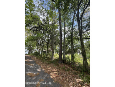 Build your dream home on this spacious 0.5-acre residential lot - photo 9