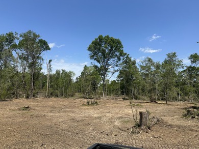 (private lake, pond, coastal) Lot For Sale in Hattiesburg Mississippi