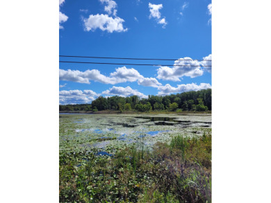 Lake Acreage For Sale in Buchanan, Michigan