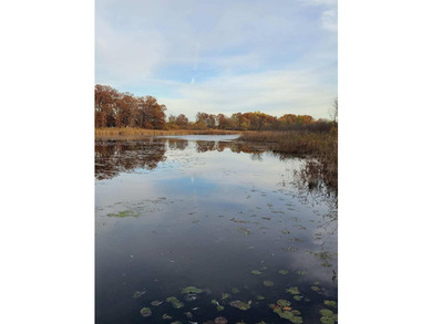 Dayton Lake Waterfront! Rare Three Acre parcel on private lake - photo 3