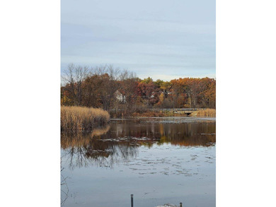 Dayton Lake Waterfront! Rare Three Acre parcel on private lake - photo 4