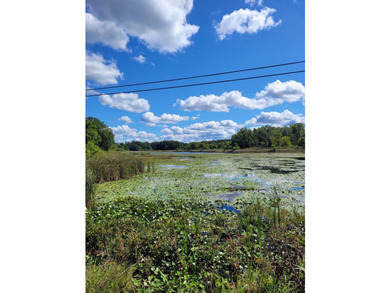 Dayton Lake Waterfront! Rare Three Acre parcel on private lake - photo 6