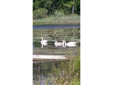 Dayton Lake Waterfront! Rare Three Acre parcel on private lake - photo 7