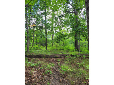 Dayton Lake Waterfront! Rare Three Acre parcel on private lake - photo 8