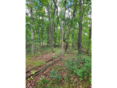 Dayton Lake Waterfront! Rare Three Acre parcel on private lake - photo 9