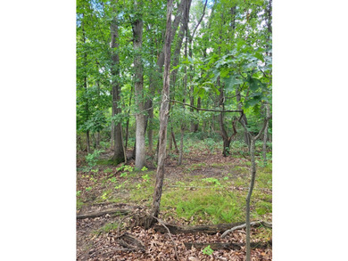 Dayton Lake Waterfront! Rare Three Acre parcel on private lake - photo 10