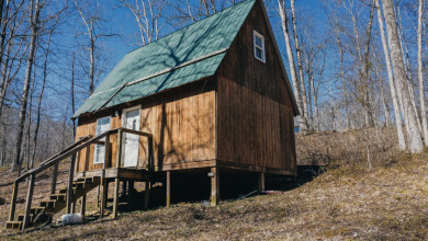 Pending: Tiny Cabin, 1+/- Acres & 5 mins to Boat Ramp - photo 18