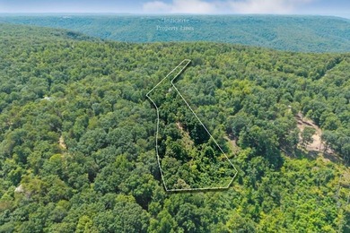 Escape to 5.66 private acres in Sparta, TN! Includes a level pad - photo 2