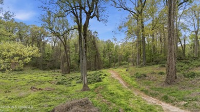 Looking for land to build your dream home- This 39-acre property - photo 3