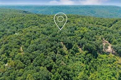 Escape to 5.66 private acres in Sparta, TN! Includes a level pad - photo 3