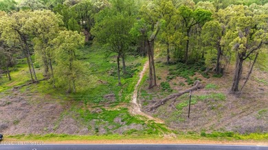 Looking for land to build your dream home- This 39-acre property - photo 4