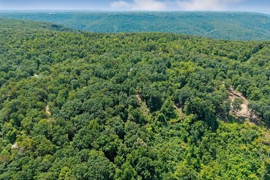 Escape to 5.66 private acres in Sparta, TN! Includes a level pad - photo 4