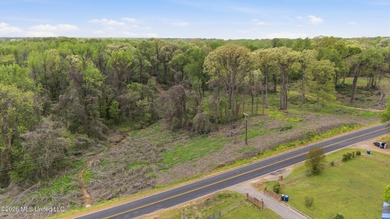 Looking for land to build your dream home- This 39-acre property - photo 6
