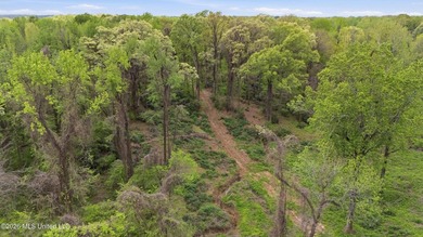 Looking for land to build your dream home- This 39-acre property - photo 7
