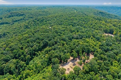 Escape to 5.66 private acres in Sparta, TN! Includes a level pad - photo 7