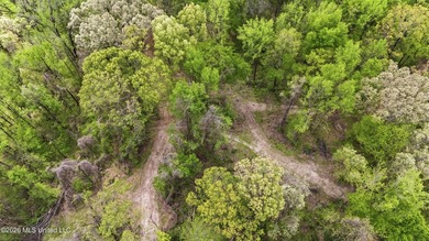 Looking for land to build your dream home- This 39-acre property - photo 8