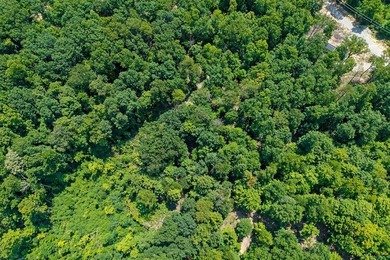 Escape to 5.66 private acres in Sparta, TN! Includes a level pad - photo 8